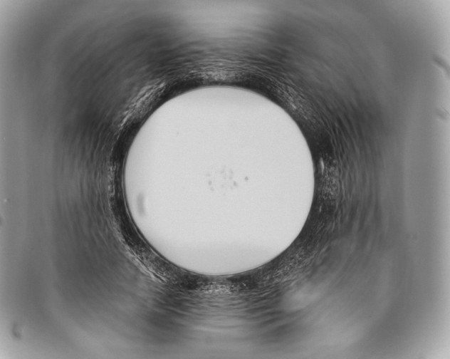 X0000096140738200802081347