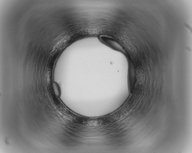 X0000096140740200802081347