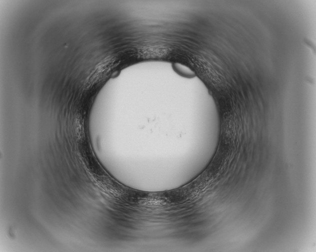 X0000096140743200802081347