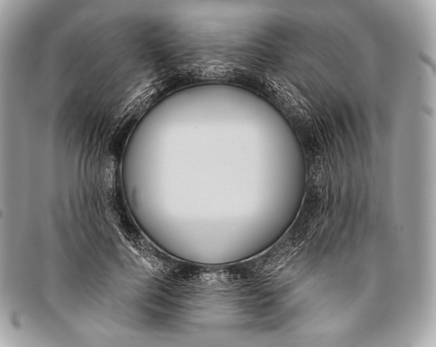 X0000096140744200802081348