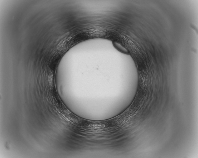 X0000096140745200802081348