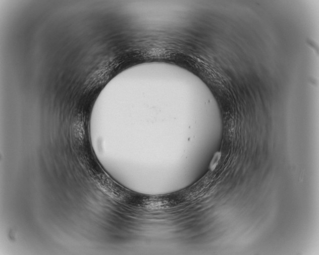X0000096140746200802081348