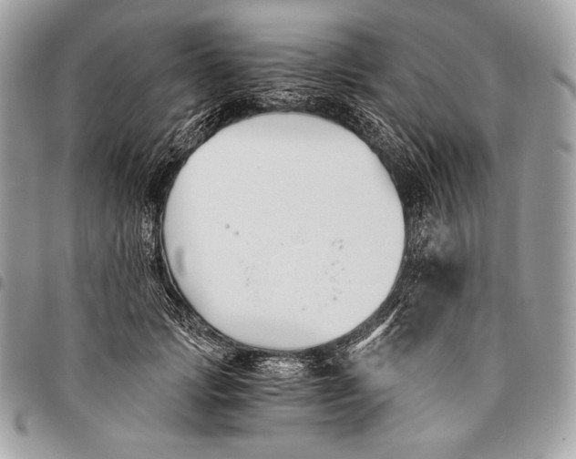 X0000096140749200802081348