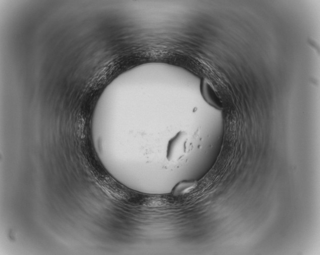 X0000096140750200802081348