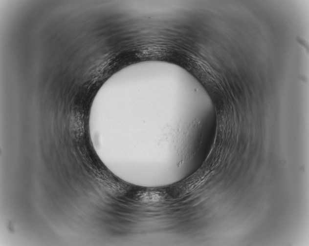 X0000096140751200802081348