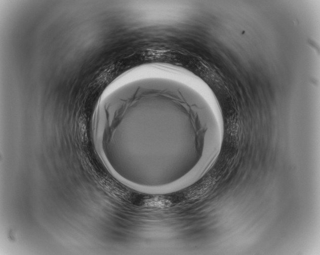 X0000096140754200802081348