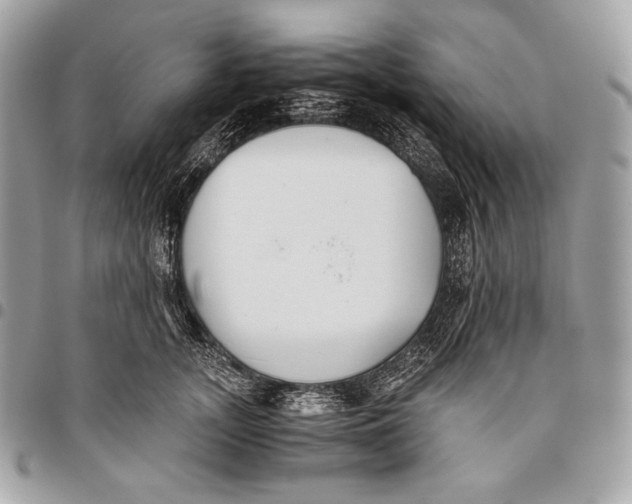 X0000096140755200802081348