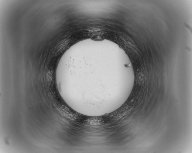 X0000096140756200802081348