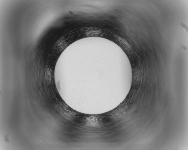 X0000096140761200802081348