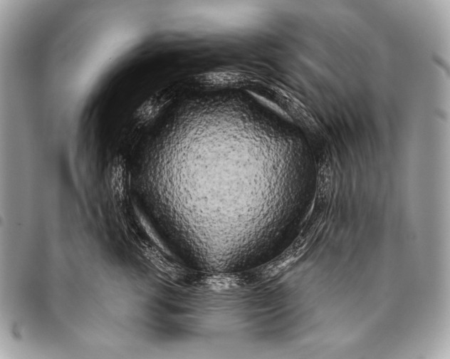 X0000096140762200802081348
