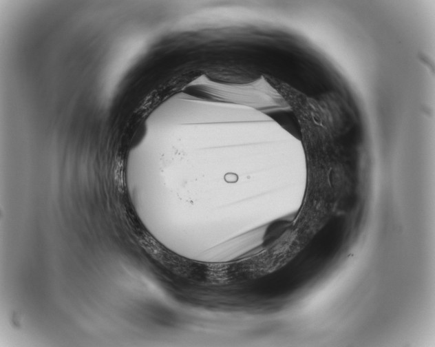 X0000096140766200802081348
