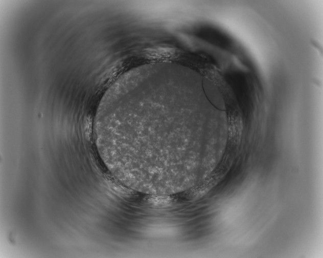 X0000096140767200802081348