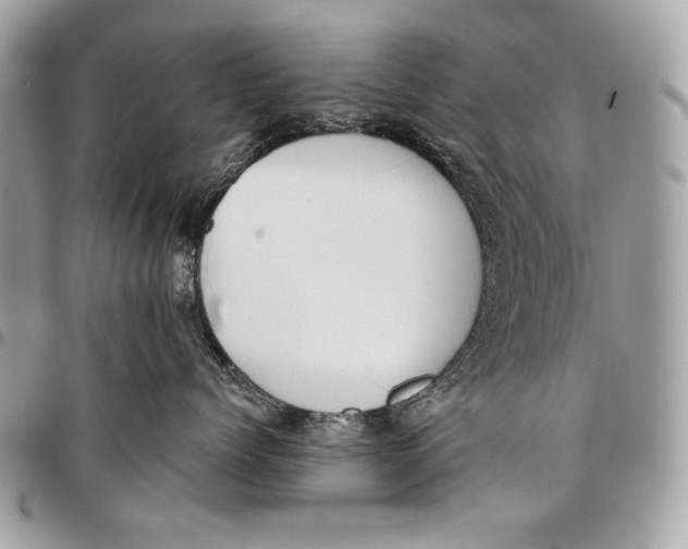 X0000096140768200802081348