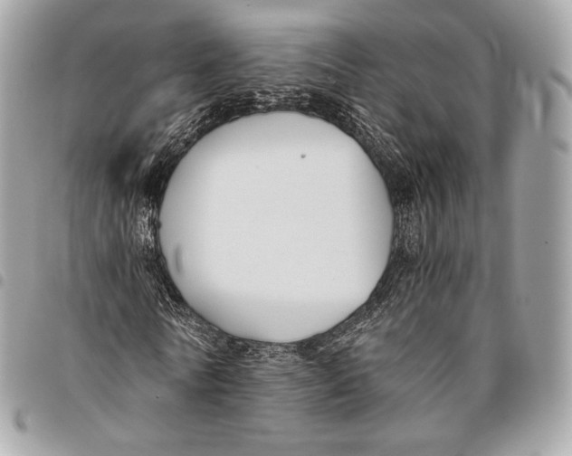 X0000096140770200802081347