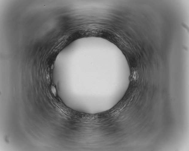 X0000096140771200802081347