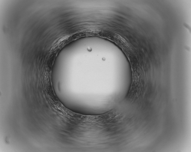 X0000096140773200802081347