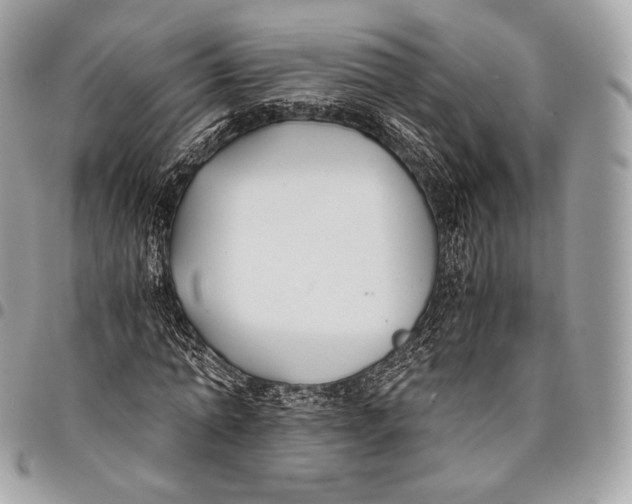 X0000096140774200802081347