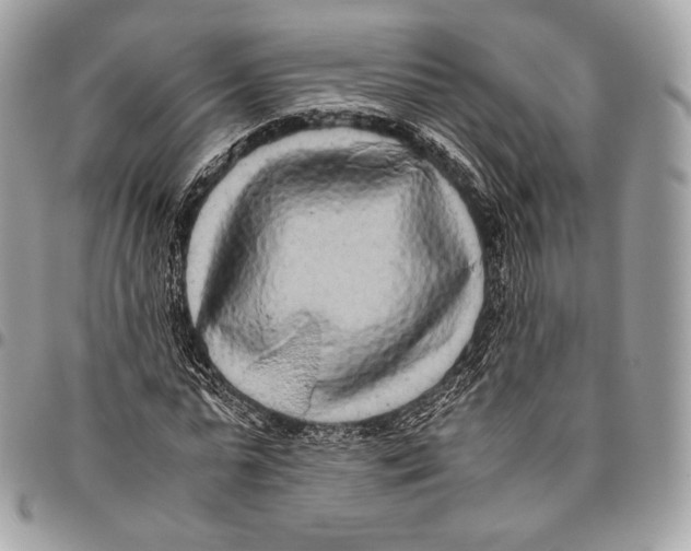 X0000096140775200802081347