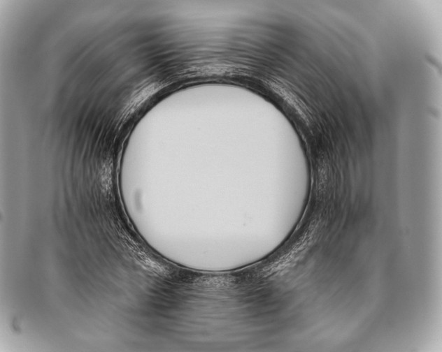 X0000096140778200802081347