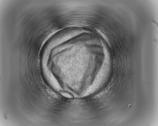 X0000096140779200802081347