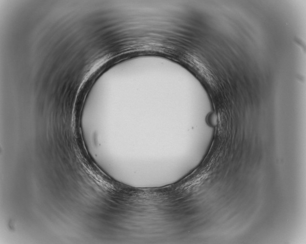 X0000096140780200802081347