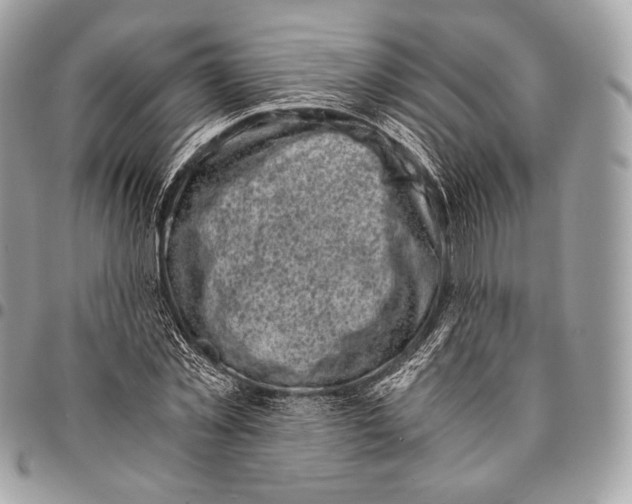 X0000096140781200802081347