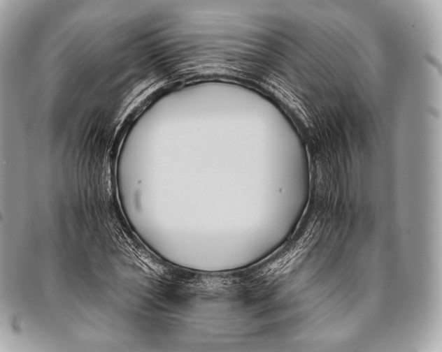 X0000096140782200802081347