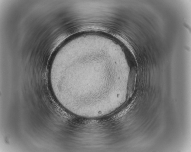 X0000096140783200802081347