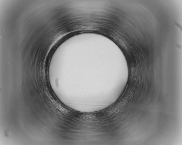 X0000096140784200802081347