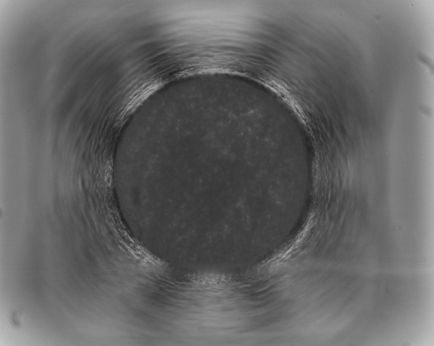 X0000096140785200802081347
