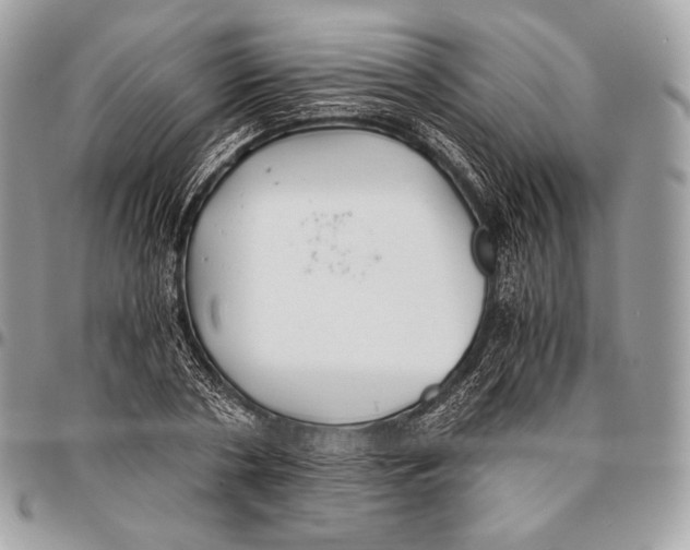 X0000096140786200802081347