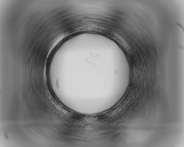 X0000096140788200802081347