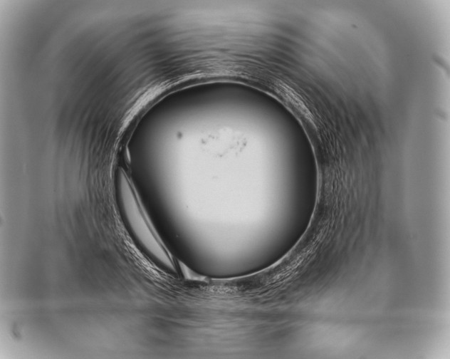 X0000096140789200802081347