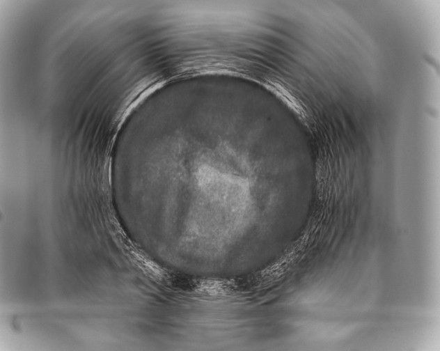 X0000096140790200802081347