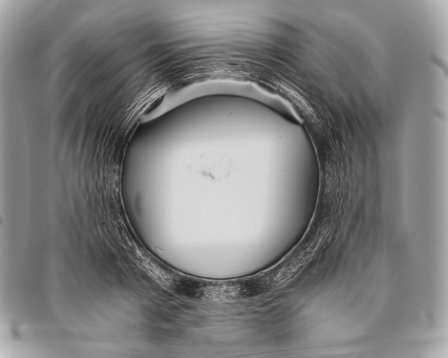 X0000096140793200802081347