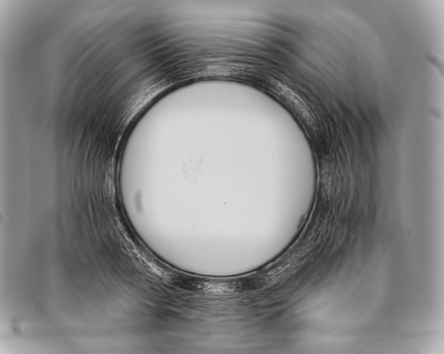 X0000096140794200802081347
