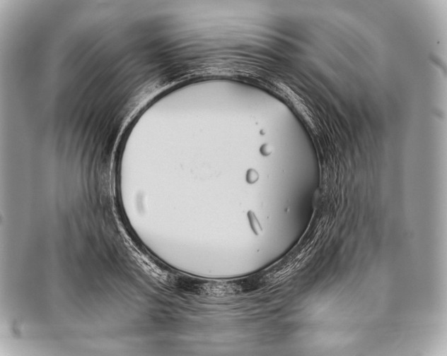 X0000096140795200802081347