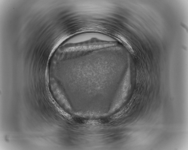 X0000096140796200802081347