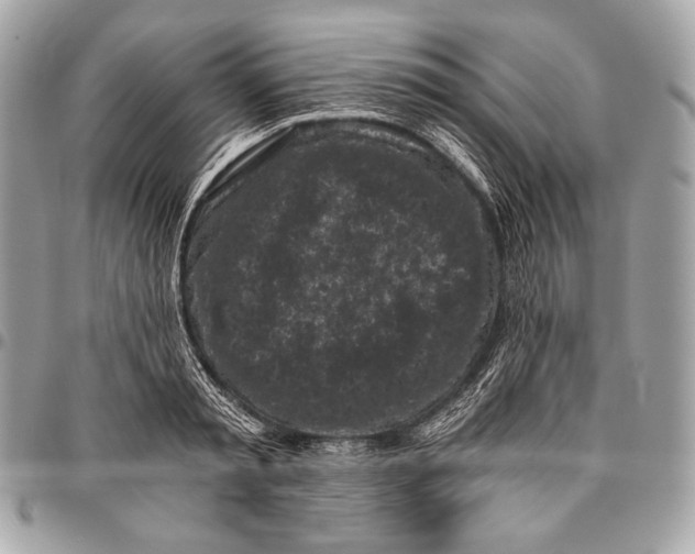 X0000096140797200802081347