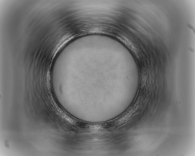 X0000096140798200802081347