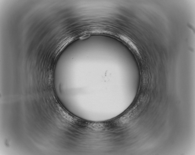 X0000096140801200802081347