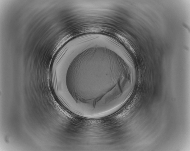 X0000096140802200802081347
