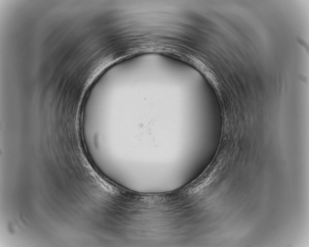 X0000096140803200802081347