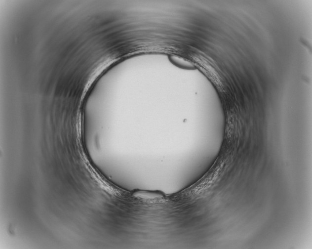 X0000096140804200802081347