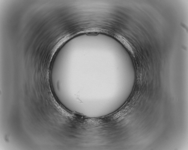 X0000096140805200802081347
