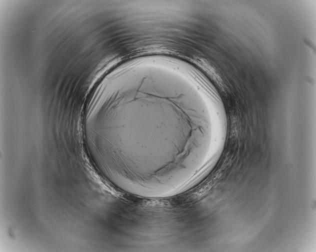 X0000096140806200802081347