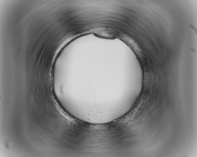 X0000096140808200802081347
