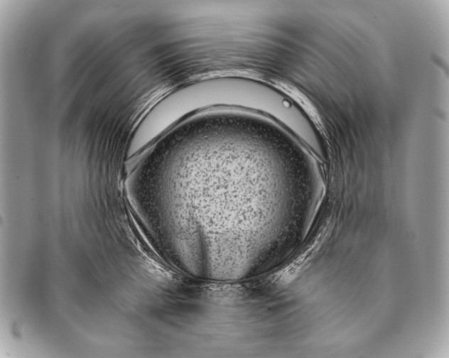 X0000096140809200802081347