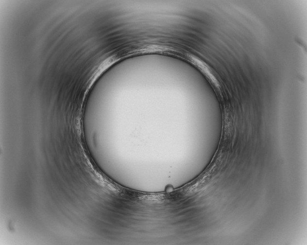 X0000096140810200802081347