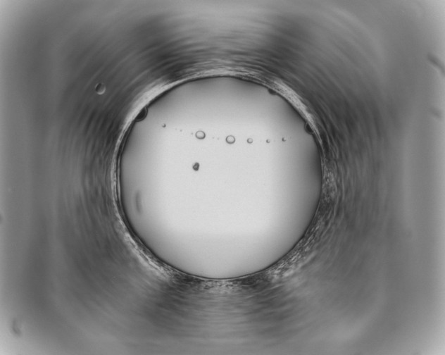 X0000096140811200802081347